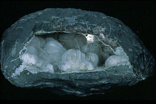 中文名:纖維鈣矽酸石(NMNS000906-P003219)英文名:Okenite(NMNS000906-P003219)