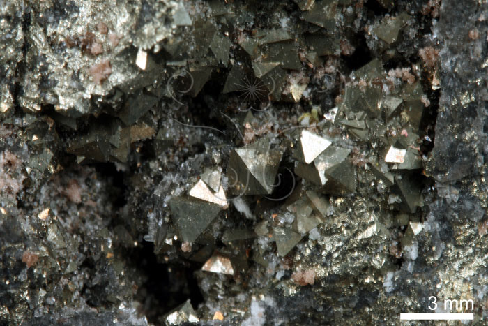 中文名:黃鐵礦(NMNS000168-P000917)英文名:Pyrite(NMNS000168-P000917)