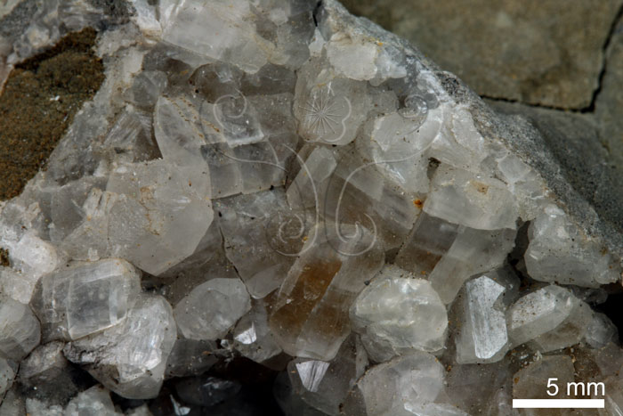 中文名:方解石(NMNS000168-P000902)英文名:Calcite(NMNS000168-P000902)