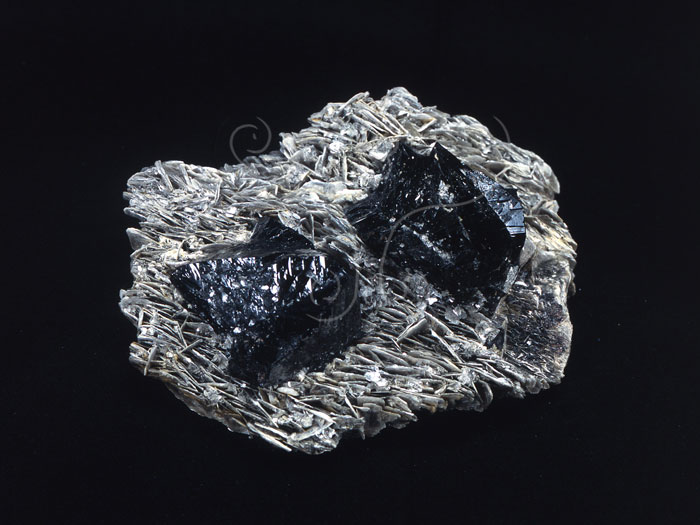 中文名:錫石(NMNS004837-P011725)英文名:Cassiterite(NMNS004837-P011725)