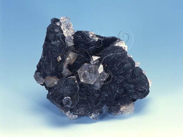 中文名:鏡鐵礦(NMNS004837-P011705)英文名:Specularite(NMNS004837-P011705)