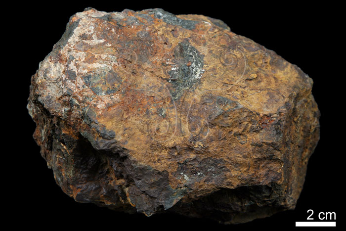 中文名:磁鐵礦(NMNS002369-P004437)英文名:Magnetite(NMNS002369-P004437)