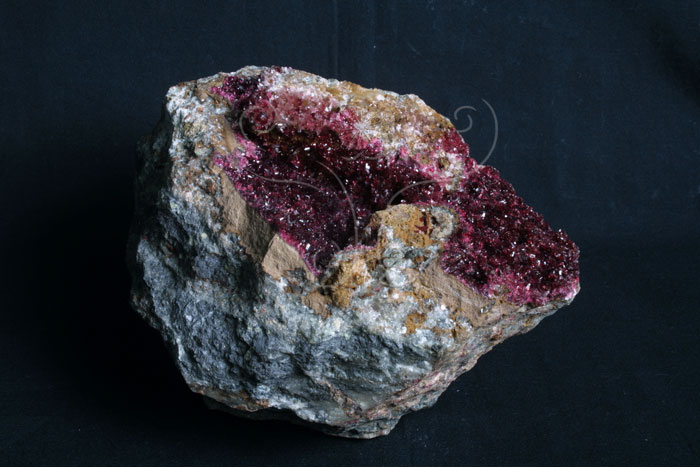 中文名:砷鈷鎂鈣石(NMNS004339-P008912)英文名:Wendwilsonite(NMNS004339-P008912)