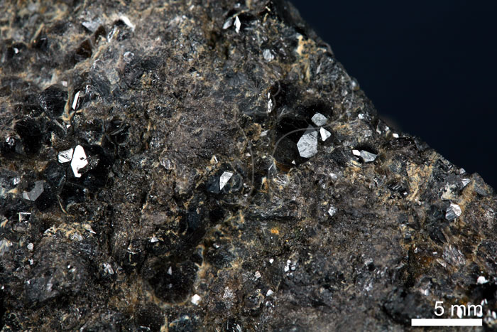 中文名:黑榴石(NMNS004105-P007964)英文名:Melanite(NMNS004105-P007964)