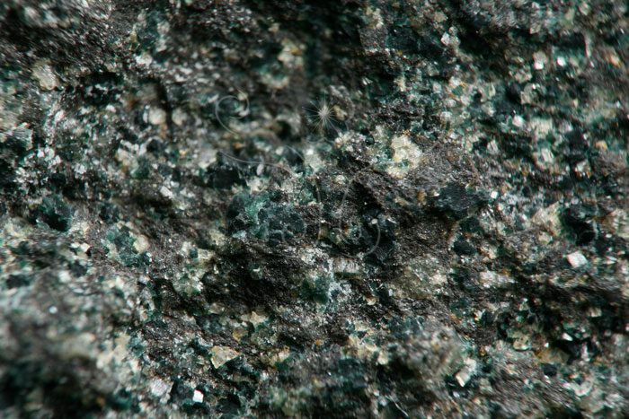 中文名:海綠石(NMNS005577-P013764)英文名:Glauconite(NMNS005577-P013764)