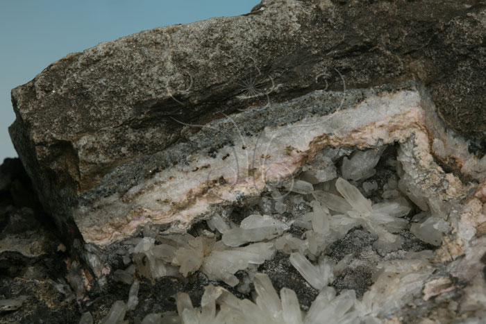 中文名:菱錳礦(NMNS004692-P010644)英文名:Rhodochrosite(NMNS004692-P010644)