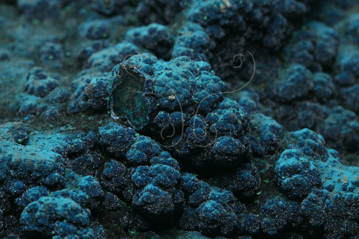 中文名:藍磷銅礦(NMNS006605-P016594)英文名:Cornetite(NMNS006605-P016594)