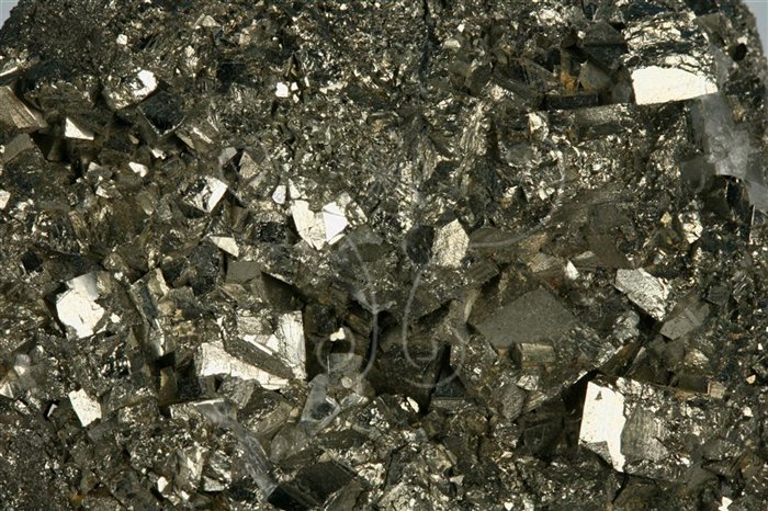 中文名:黃鐵礦(NMNS004878-P011791)英文名:Pyrite(NMNS004878-P011791)