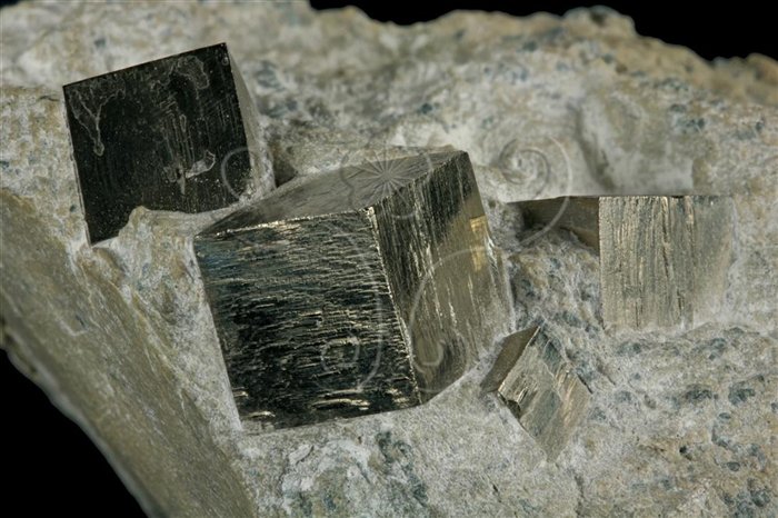 中文名:黃鐵礦(NMNS004938-P011989)英文名:Pyrite(NMNS004938-P011989)