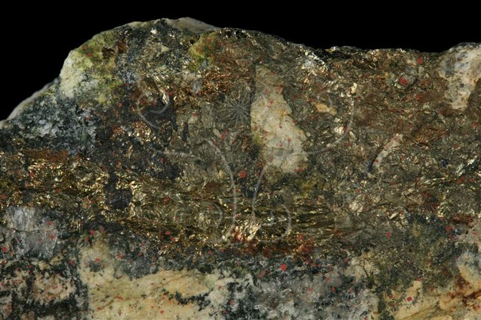 中文名:黃鐵礦(NMNS006463-P016194)英文名:Pyrite(NMNS006463-P016194)