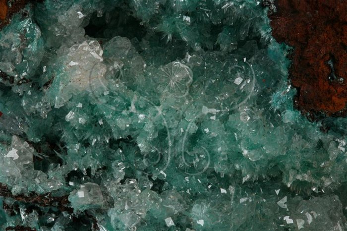 中文名:綠銅鋅礦(NMNS002917-P005733)英文名:Aurichalcite(NMNS002917-P005733)
