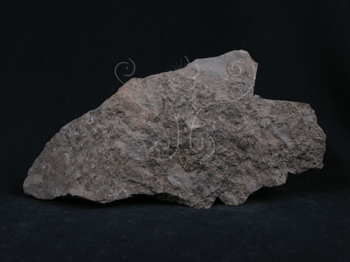 文件名稱:火山角礫岩標題:火山角礫岩簡介圖