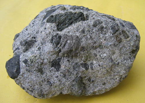 文件名稱:凝灰質集塊岩標題:凝灰質集塊岩簡介圖