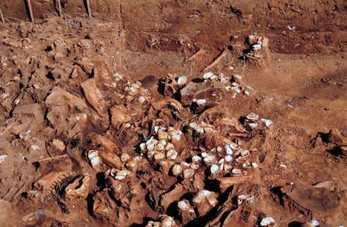 文件名稱:獸骨、貝殼與陶器標本出土-07標題:獸骨、貝殼與陶器標本出土-07