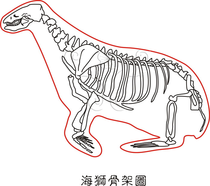 海獅科