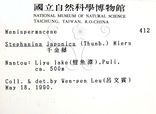 中文名:千金藤 (S002720)學名:Stephania japonica (Thunb. ex Murray) Miers(S002720)中文別名:金線吊烏龜