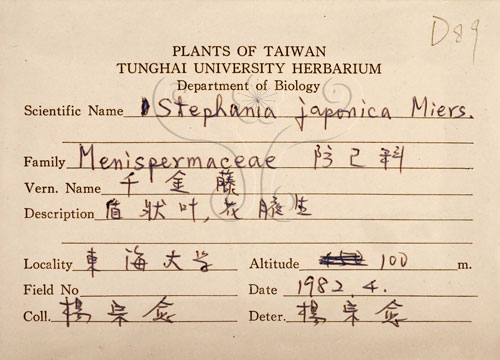 中文名:千金藤 (S065754)學名:Stephania japonica (Thunb. ex Murray) Miers(S065754)中文別名:金線吊烏龜