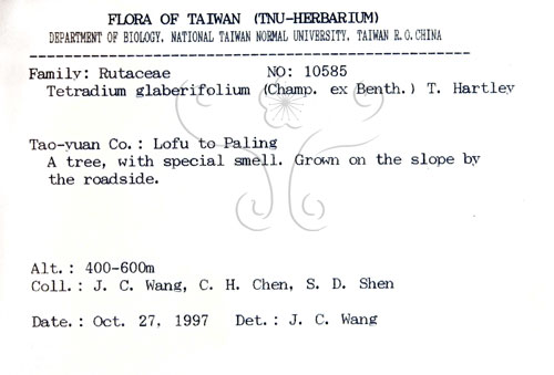 中文名:賊仔樹(S089103)學名:Tetradium glabrifolium (Champ. ex Benth.) T. Hartley(S089103)