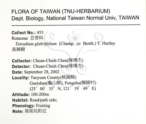 中文名:賊仔樹(S090330)學名:Tetradium glabrifolium (Champ. ex Benth.) T. Hartley(S090330)