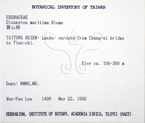 中文名:黃心柿(S014605)學名:Diospyros maritima Blume(S014605)