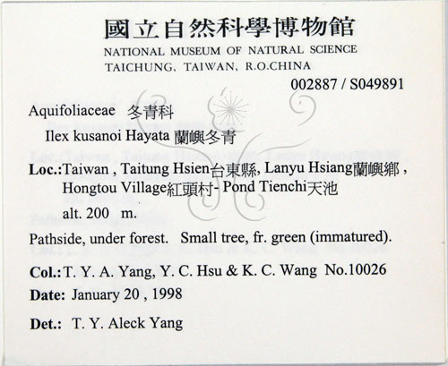 中文名:草野氏冬青(S049891)學名:Ilex kusanoi Hayata(S049891)