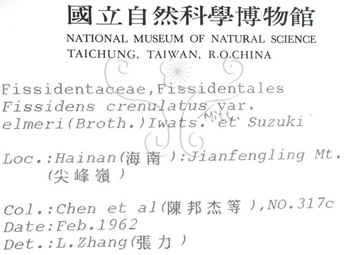 中文名:鳳尾蘚(B00009246)學名:Fissidens crenulatus Mitt. var.emleri (Broth.) Iwats.et Suzuki(B00009246)