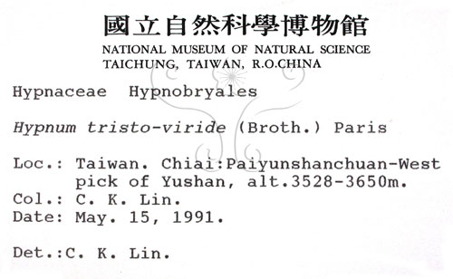 中文名:灰蘚(B00000865)學名:Hypnum tristo-viride (Broth.) Paris(B00000865)