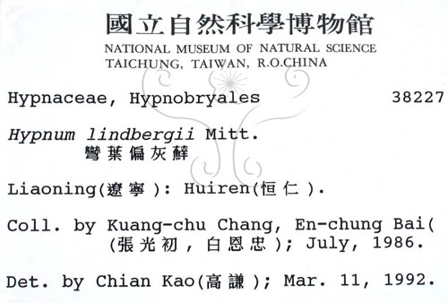 中文名:彎葉扁灰蘚(B00002042)學名:Hypnum lindbergii Mitt.(B00002042)