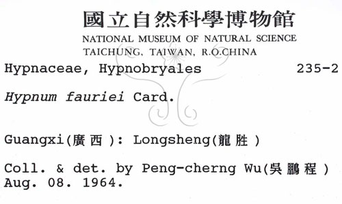 中文名:灰蘚(B00002551)學名:Hypnum fauriei Card.(B00002551)