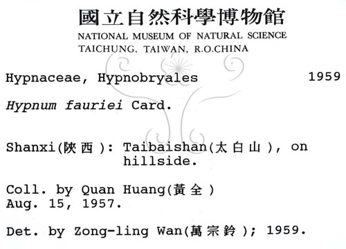 中文名:灰蘚(B00002573)學名:Hypnum fauriei Card.(B00002573)