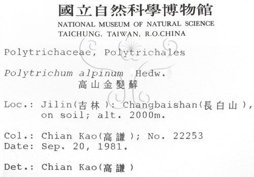 中文名:金髮蘚(B00001463)學名:Polytrichum alpinum Hedw.(B00001463)中文別名:土馬棕