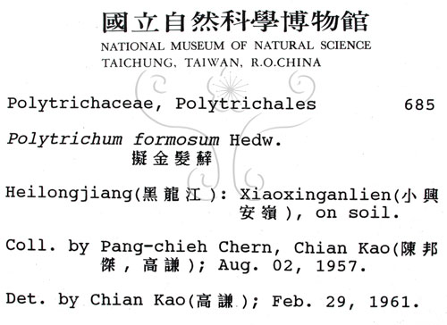 中文名:擬金髮蘚(B00001466)學名:Polytrichum formosum Hedw.(B00001466)中文別名:土馬棕
