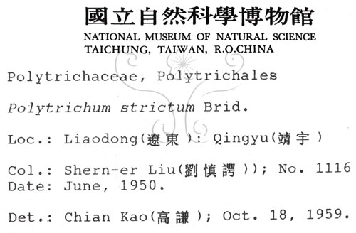 中文名:金髮蘚(B00001467)學名:Polytrichum strichtum Sw.(B00001467)中文別名:土馬棕