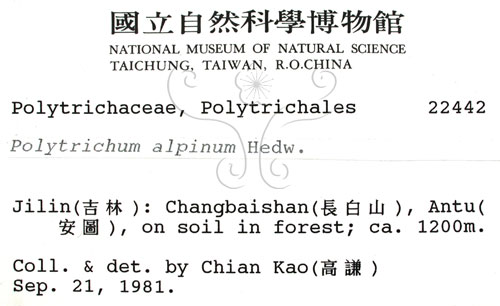 中文名:金髮蘚(B00002169)學名:Polytrichum alpinum Hedw.(B00002169)中文別名:土馬棕
