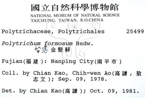 中文名:擬金髮蘚(B00002171)學名:Polytrichum formosum Hedw.(B00002171)中文別名:土馬棕