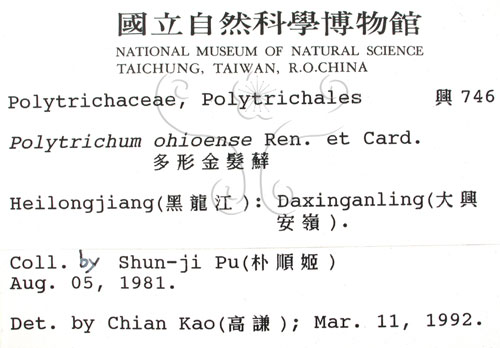中文名:朵形金髮蘚(B00002178)學名:Polytrichum ohioense Ren. et Card.(B00002178)中文別名:土馬棕