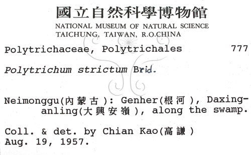 中文名:金髮蘚(B00002184)學名:Polytrichum strichtum Sw.(B00002184)中文別名:土馬棕