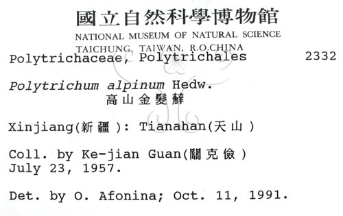 中文名:金髮蘚(B00002648)學名:Polytrichum alpinum Hedw.(B00002648)中文別名:土馬棕