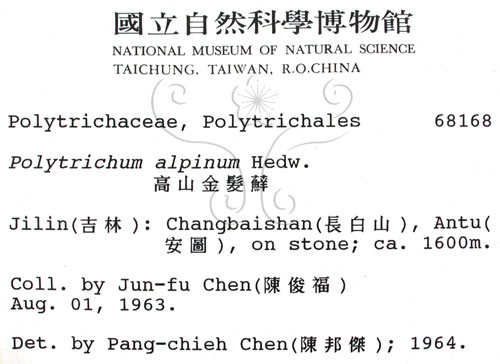 中文名:金髮蘚(B00002649)學名:Polytrichum alpinum Hedw.(B00002649)中文別名:土馬棕