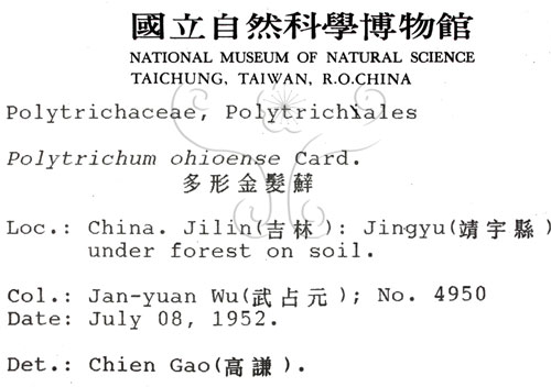 中文名:朵形金髮蘚(B00007814)學名:Polytrichum ohioense Ren. et Card.(B00007814)中文別名:土馬棕