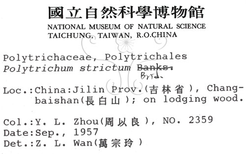 中文名:金髮蘚(B00009984)學名:Polytrichum strichtum Sw.(B00009984)中文別名:土馬棕
