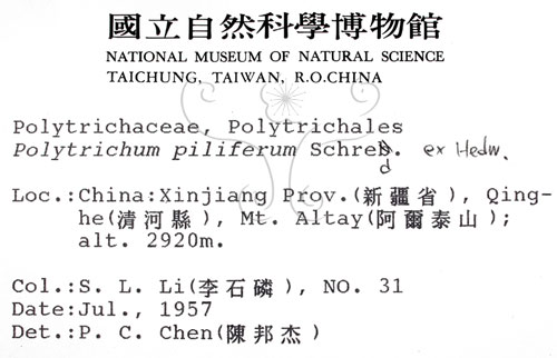 中文名:毛尖金髮蘚(B00009988)學名:Polytrichum piliferum Schred. ex Hedw.(B00009988)中文別名:土馬棕