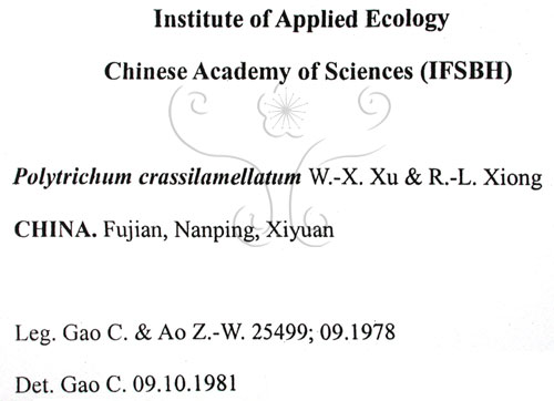 中文名:金髮蘚(B00013624)學名:Polytrichum crassilamellatum W.-X. Xu & R.-L. Xiong(B00013624)中文別名:土馬棕