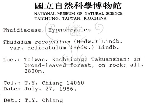 中文名:鉤葉羽蘚(B00000381)學名:Thuidium recognitum (Hedw.) Lindb. var. delicatulum(B00000381)