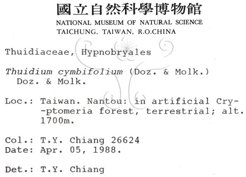 中文名:羽蘚(B00000383)學名:Thuidium cymbifolium (Doz. & Molk.) Doz. & Molk.(B00000383)