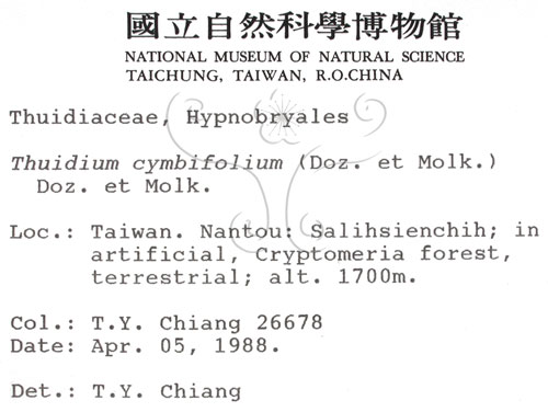 中文名:羽蘚(B00000386)學名:Thuidium cymbifolium (Doz. & Molk.) Doz. & Molk.(B00000386)