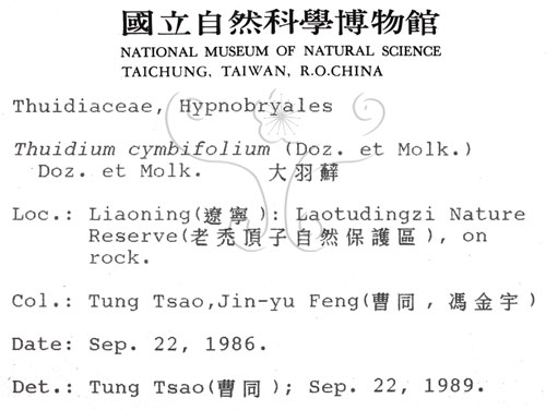 中文名:羽蘚(B00001511)學名:Thuidium cymbifolium (Doz. & Molk.) Doz. & Molk.(B00001511)