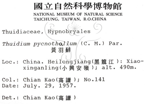 中文名:黃羽蘚(B00001512)學名:Thuidium pycnothallum (C. Muell.) Par.(B00001512)