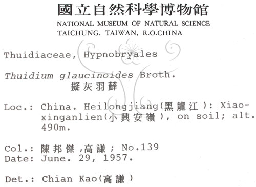 中文名:羽蘚(B00001534)學名:Thuidium glaucinoides Broth.(B00001534)