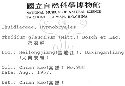 中文名:灰羽蘚(B00002299)學名:Thuidium glaucinum (Mitt.) Bosch. et Lac.(B00002299)